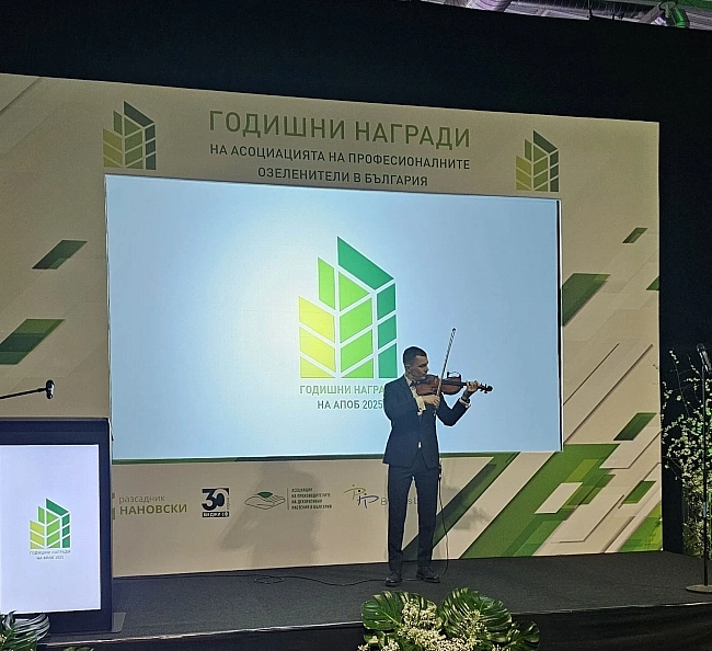 orlin cvetanov