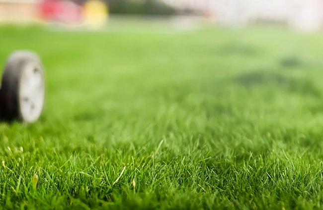 Каква косачка да изберем – бензинова, електрическа или акумулаторна? Пълно ръководство