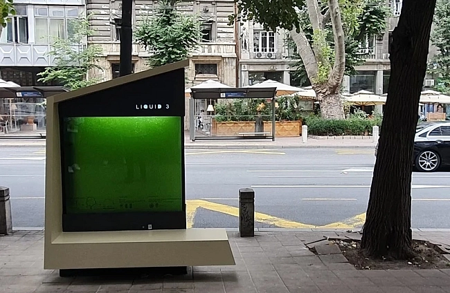 Liquid Tree – сръбското решение с водорасли за чист въздух в градовете