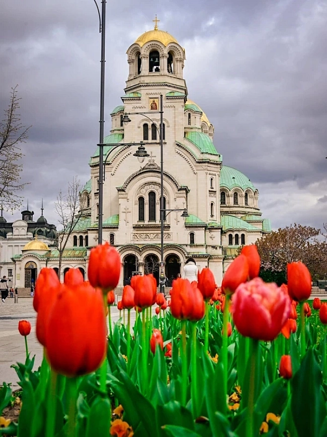 sofia