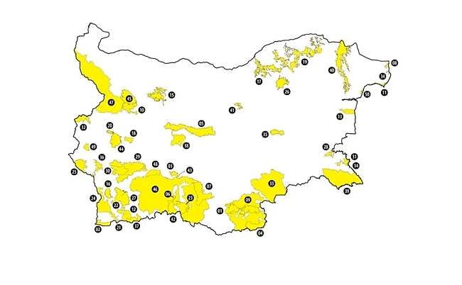 bg-peperudi