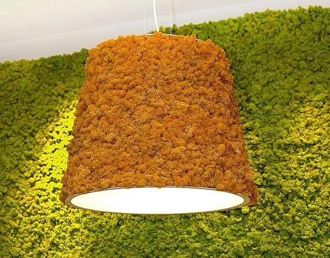 moss interior