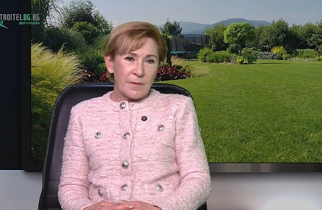 Веселка Трифонова: Озеленителният сектор работи без регулация