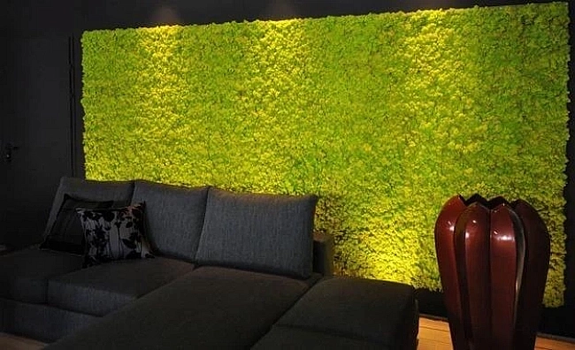 green moss
