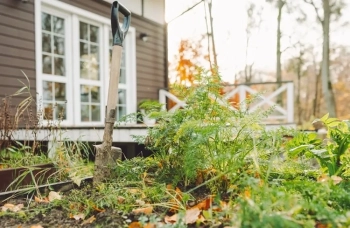 5 сезонни подготовки на почвата за здравословна градина и контрол на зимните вредители
