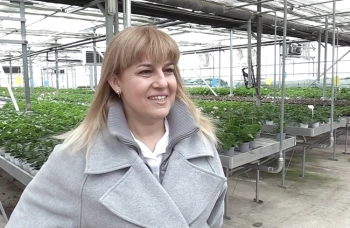 Цветя без граници: битката на българските производители за пазар и признание